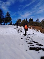 Shujiawuxiangluoguqingtubuminsu