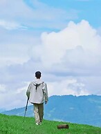 Shujiawuxiangluoguqingtubuminsu