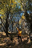 Shujiawuxiangluoguqingtubuminsu