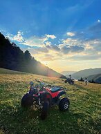 Shujiawuxiangluoguqingtubuminsu