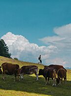 Shujiawuxiangluoguqingtubuminsu