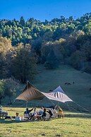 Shujiawuxiangluoguqingtubuminsu