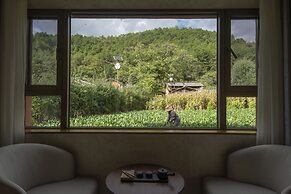 Shujiawuxiangluoguqingtubuminsu