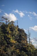 Shujiawuxiangluoguqingtubuminsu