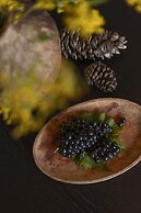 Shujiawuxiangluoguqingtubuminsu