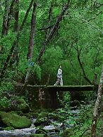 Shujiawuxiangluoguqingtubuminsu