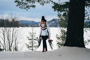 Le Chic Log Chalet Citq 241986