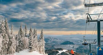 Le Chic Log Chalet Citq 241986