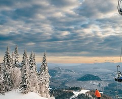 Le Chic Log Chalet Citq 241986