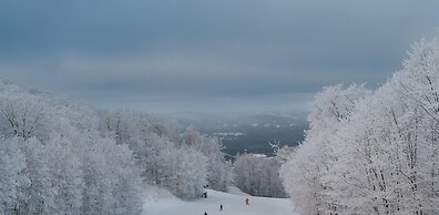 Le Chic Log Chalet Citq 241986