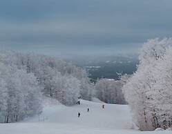 Le Chic Log Chalet Citq 241986