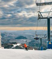 Relaxing Location Steps From Resort Citq 242281