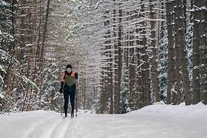 Relaxing Location Steps From Resort Citq 242281