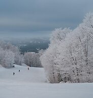 Relaxing Location Steps From Resort Citq 242281