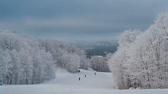 Chalet Refuge 112 - Citq 242292