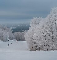 Chalet Refuge 112 - Citq 242292