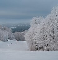 Chalet Refuge 114 in Lac-sup Rieur