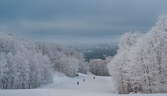 Be zen With Nature Enjoy Private hot tub Citq 301946