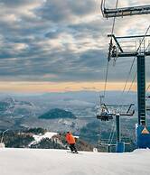 Be zen With Nature Enjoy Private hot tub Citq 301946