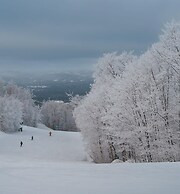 Be zen With Nature Enjoy Private hot tub Citq 301946
