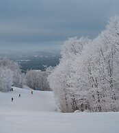 Lake Resort Suite Views Amenities