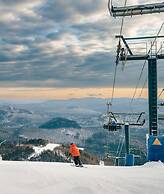 Warm Cabin in Nature With spa Sauna Citq 309153