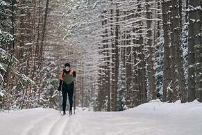 Warm Cabin in Nature With spa Sauna Citq 309153