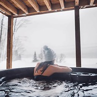 Lakeview Mid Century Luxury Cottage Citq 311414