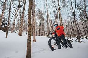 Naro Cabin in Laurentides