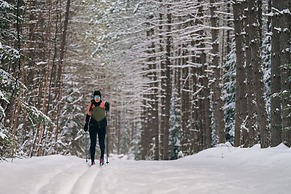 Naro Cabin in Laurentides