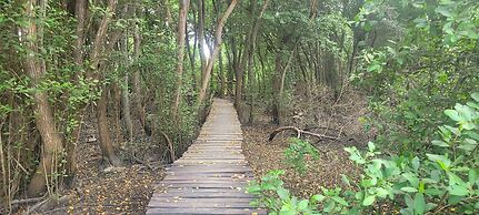 Waikiki Beach Hostel