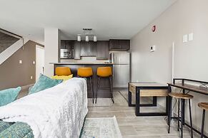 Modern Downtown Apartment