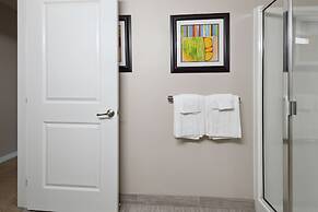 Modern Downtown Apartment