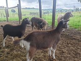 Jilly Park Farm Interactive Experience Complimentary Breakfast Linen I