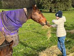 Jilly Park Farm Interactive Experience Complimentary Breakfast Linen I