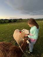 Jilly Park Farm Interactive Experience Complimentary Breakfast Linen I
