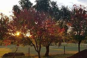 Jilly Park Farm Interactive Experience Complimentary Breakfast Linen I