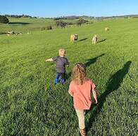 Jilly Park Farm Interactive Experience Complimentary Breakfast Linen I