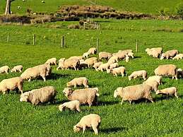 Jilly Park Farm Interactive Experience Complimentary Breakfast Linen I