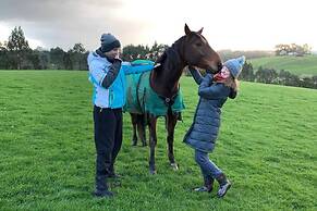 Jilly Park Farm Interactive Experience Complimentary Breakfast Linen I