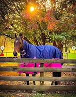 Jilly Park Farm Interactive Experience Complimentary Breakfast Linen I