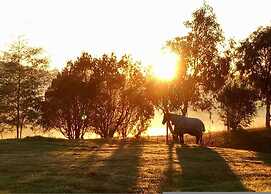 Jilly Park Farm Interactive Experience Complimentary Breakfast Linen I