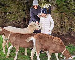 Jilly Park Farm Interactive Experience Complimentary Breakfast Linen I