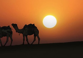 Discovery Desert Camps