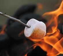 The Pause Bed & Breakfast