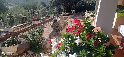 B&B Villa delle Rose