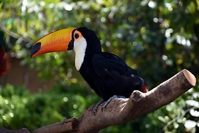 Shanghai Vintage Hotel Disneyland Branch