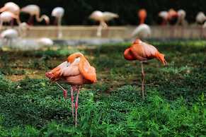 Shanghai Vintage Hotel Disneyland Branch