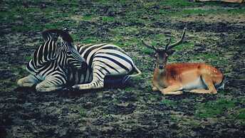 Shanghai Vintage Hotel Disneyland Branch