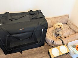 B/C APARTMENT Asakusa Hanazono Dori Hotel with Rental Car and Sauna